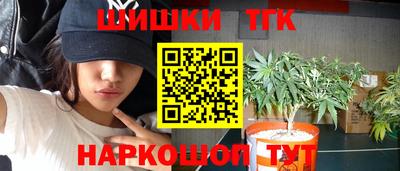 индика Гусиноозёрск