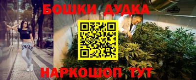 индика Гусиноозёрск