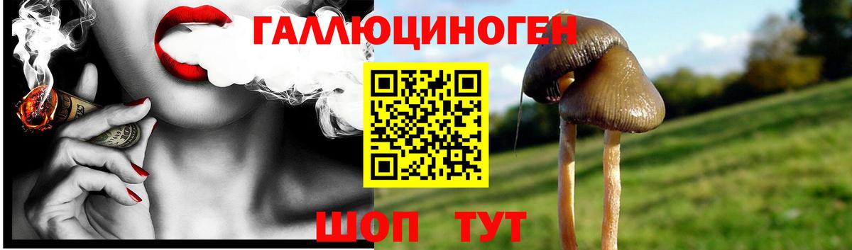 где найти наркотики  Псилоцибиновые грибы ЛСД  Вход с VPN  Нарткала 